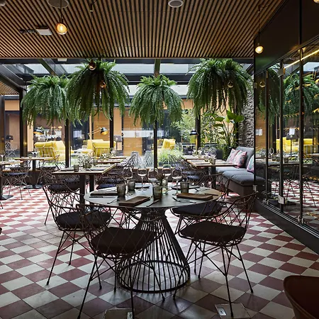 U14, Autograph Collection 4*